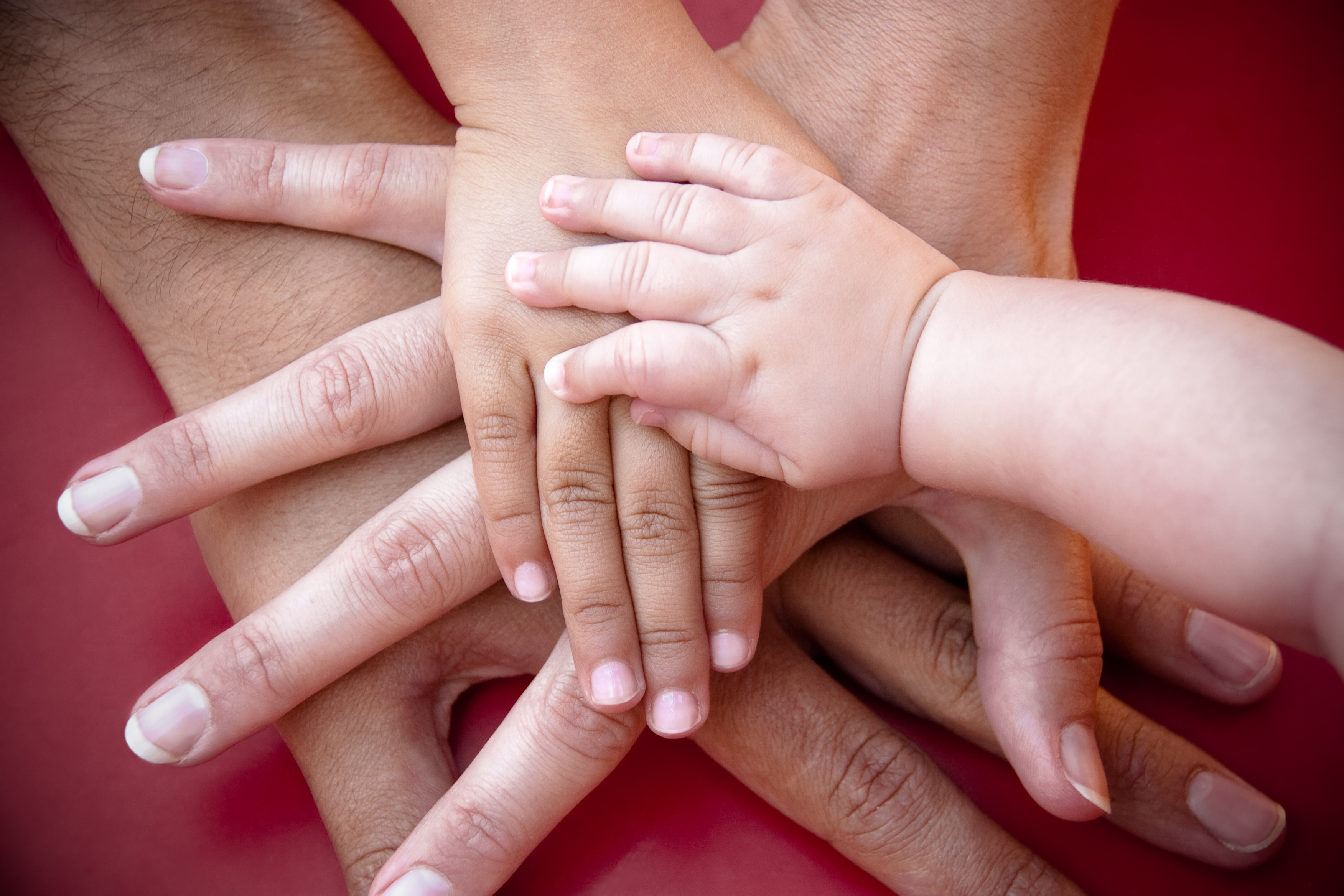 Four hands of the family, a baby, a daughter, a mother and a father. Concept of unity, support, protection and happiness.