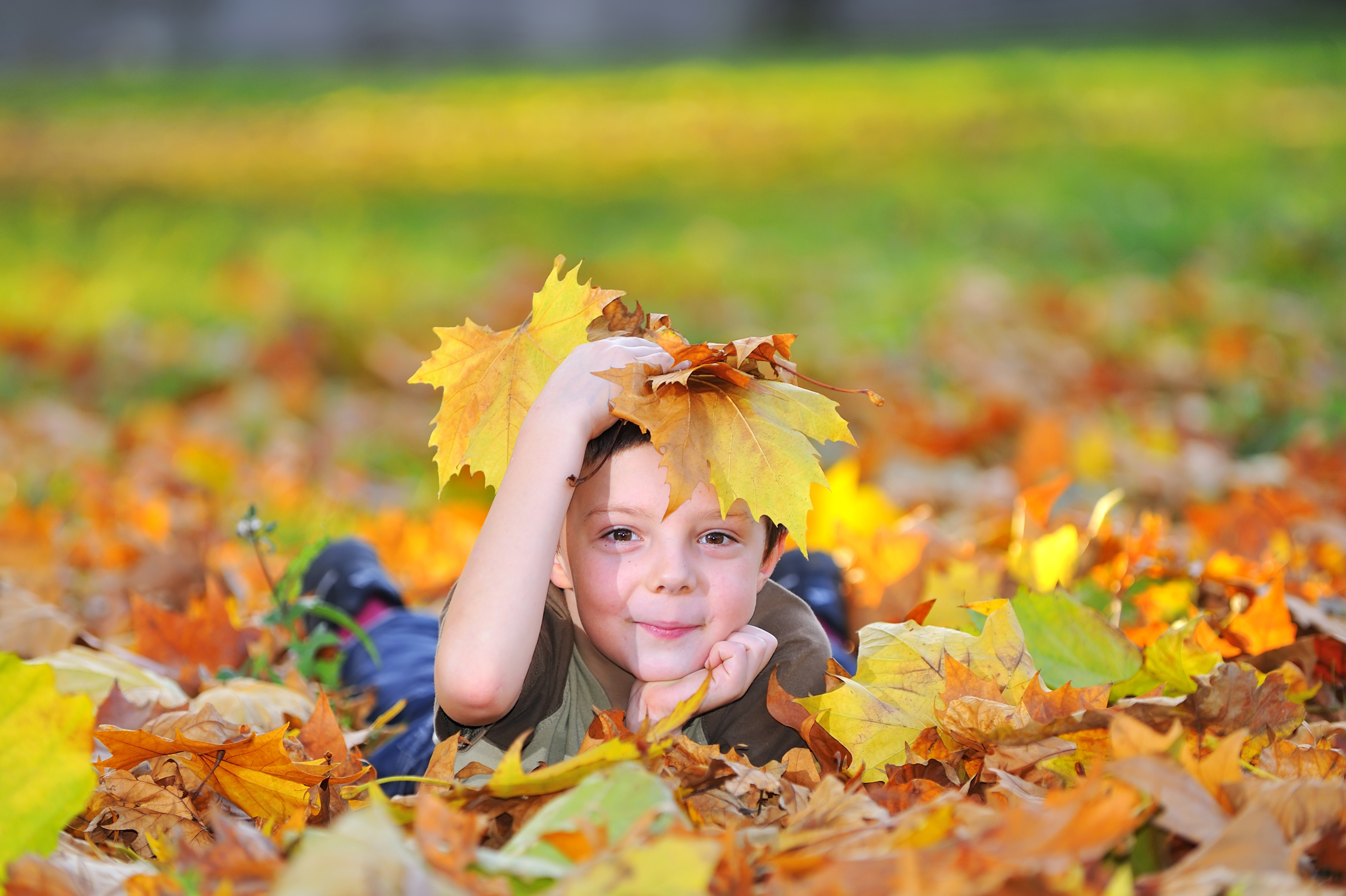 kid playing with leaves